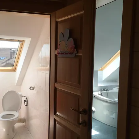 S Najkrajsim Vyhladom Na Tatry Chalet Nová Lesná